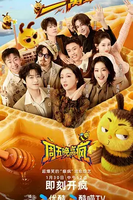 猫猫大冒险 综艺 2026